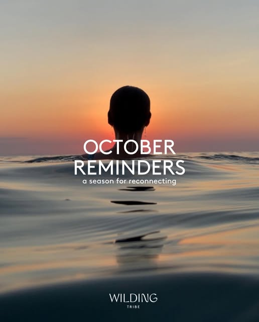 Swimmer at sunset in calm sea